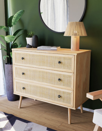 ΣΥΡΤΑΡΙΕΡΕΣ