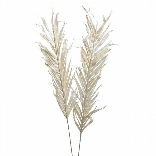 INART S/2 ΚΛΑΔΙ/ΦΥΛΛΟ ΑΠΟΞΗΡΑΜΕΝΟ NATURAL Υ100