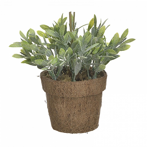INART ΦΥΤΟ ΣΕ ΓΛΑΣΤΡΑ ΠΡΑΣΙΝΟ/NATURAL Φ10X20