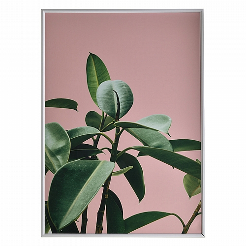 CLICK ΠΙΝΑΚΑΣ ΜΕ ΠΛΑΙΣΙΟ PRINTED PL/MDF ΦΥΤΟ 50Χ3X70