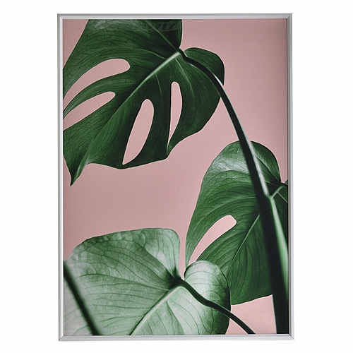 CLICK ΠΙΝΑΚΑΣ ΜΕ ΠΛΑΙΣΙΟ PRINTED PL/MDF ΦΥΤΟ 50Χ3X70