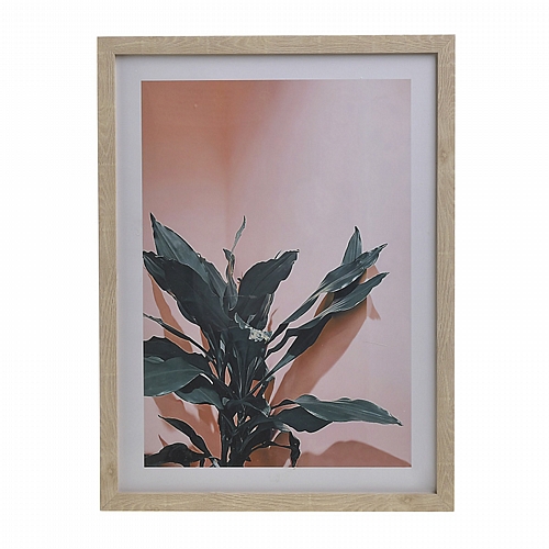 CLICK ΠΙΝΑΚΑΣ ΜΕ ΠΛΑΙΣΙΟ PRINTED PL/MDF ΦΥΤΟ 30Χ3X40