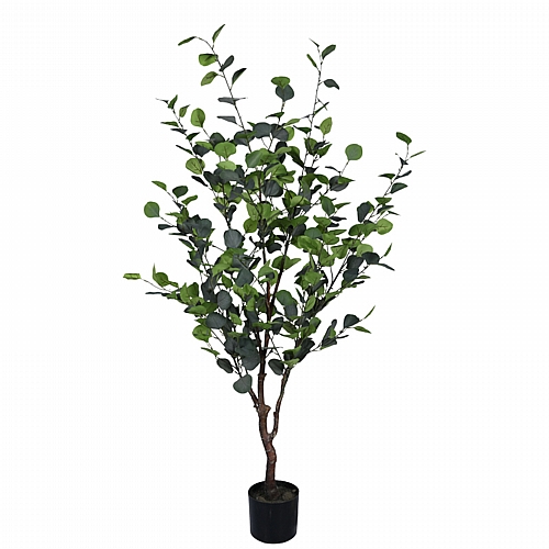 Διακοσμητικό φυτό Eucalyptus Ι σε γλάστρα Inart πράσινο pp Υ150εκ