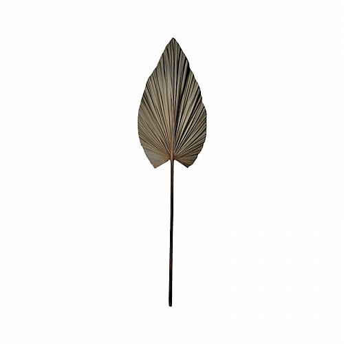 Διακοσμητικό φύλλο Leafen I Inart φυσικό palm leaf 130εκ