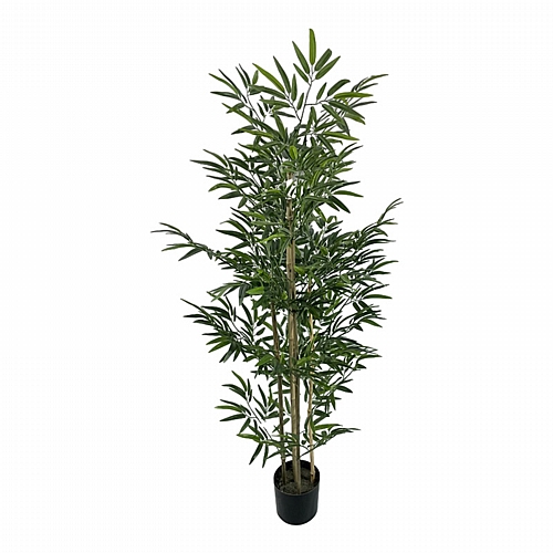 Διακοσμητικό φυτό Bamboo σε γλάστρα Inart πράσινο pp Υ150εκ