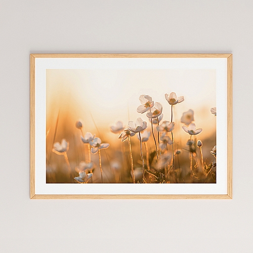 Πίνακας Floraza pakoworld με ψηφιακή εκτύπωση και πλαίσιο 48x1.5x33εκ Πίνακας Floraza pakoworld με ψηφιακή εκτύπωση και πλαίσιο 48x1.5x33εκ