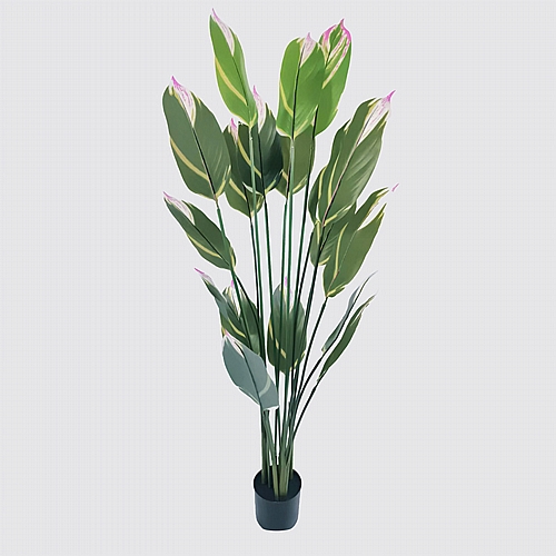 Διακοσμητικό φυτό σε γλάστρα Lucky Inart πράσινο Φ80x180εκ Διακοσμητικό φυτό σε γλάστρα Lucky Inart πράσινο Φ80x180εκ