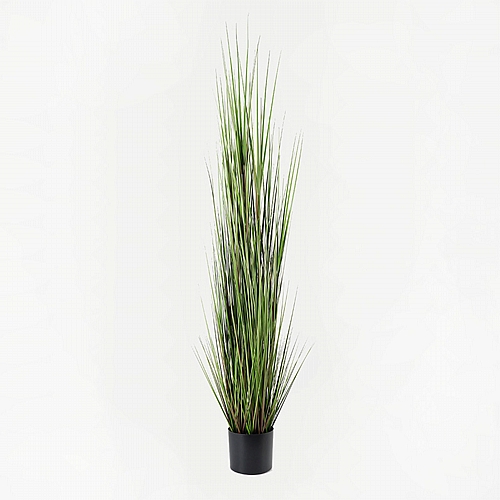 Διακοσμητικό φυτό σε γλάστρα Βoxwood Inart πράσινο Φ46x150εκ Διακοσμητικό φυτό σε γλάστρα Βoxwood Inart πράσινο Φ46x150εκ