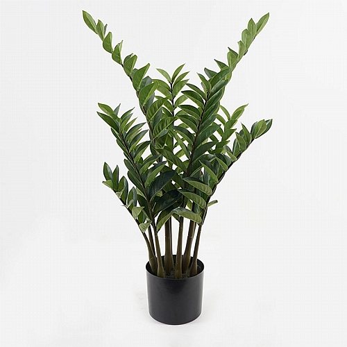 Διακοσμητικό φυτό σε γλάστρα Zamia Inart πράσινο Φ52x88εκ Διακοσμητικό φυτό σε γλάστρα Zamia Inart πράσινο Φ52x88εκ