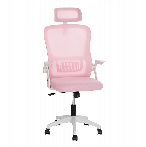 ΚΑΡΕΚΛΑ ΓΡΑΦΕΙΟΥ FB91205.04 ΡΟΖ MESH-ΛΕΥΚΟΣ ΣΚΕΛΕΤΟΣ 60x58x110-130Υεκ. ΚΑΡΕΚΛΑ ΓΡΑΦΕΙΟΥ FB91205.04 ΡΟΖ MESH-ΛΕΥΚΟΣ ΣΚΕΛΕΤΟΣ 60x58x110-130Υεκ.