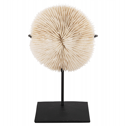 ΕΠΙΤΡΑΠΕΖΙΟ ΔΙΑΚΟΣΜΗΤΙΚΟ FB94273 ΚΟΡΑΛΙ ΣΕ ΦΥΣΙΚΟ-ΜΑΥΡΗ ΜΕΤΑΛΛΙΚΗ ΒΑΣΗ 8x8x16Υ εκ.