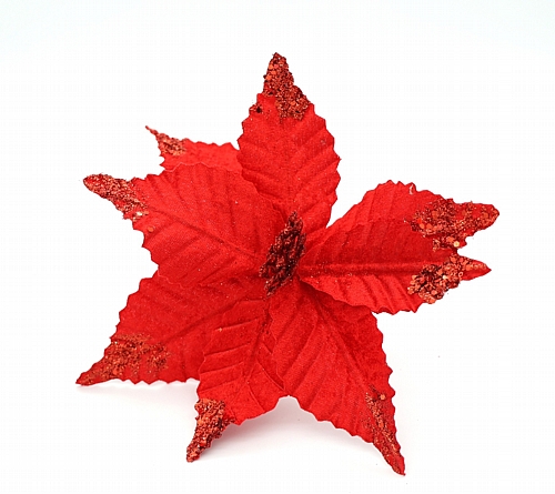 Χριστουγεννιάτικο Λουλούδι Αλεξανδρινό Κόκκινο με Glitter