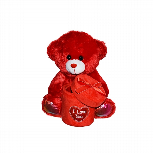 Αρκουδάκι με Στρογγυλό Κουτί I Love You Κόκκινο 23cm