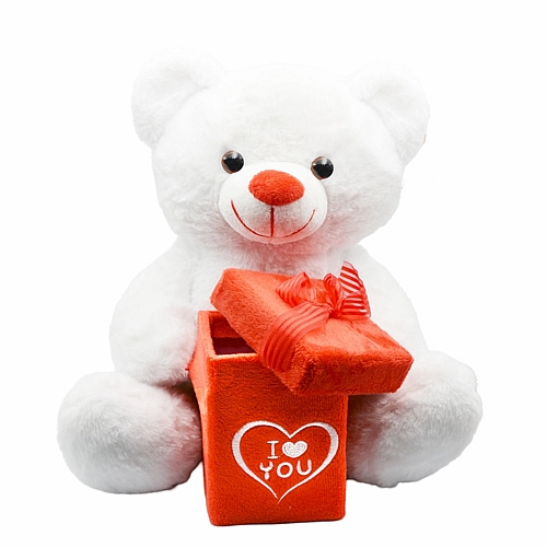 Λούτρινο Αρκουδάκι με Κουτάκι 