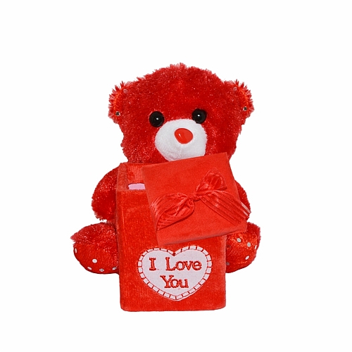 Αρκουδάκι με κουτί δώρου 17cm Κόκκινο