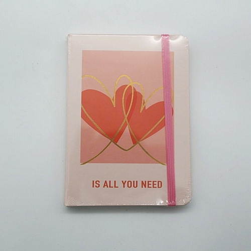 Σημειωματάριο “Love Is All You Need” Α6