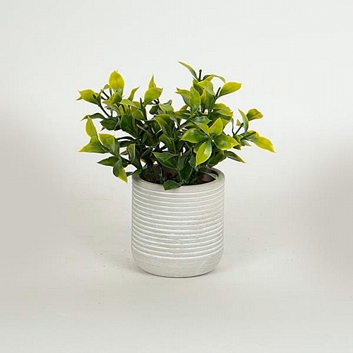 Φυτό σε γλαστράκι από Χάρτινη Πουλπα 17cm