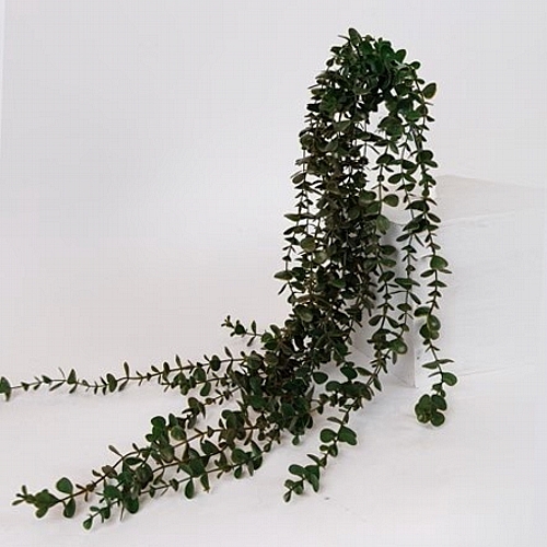 Λουλούδι/Κλαδί Κρεμαστός Ευκάλυπτος Πράσινο 100cm