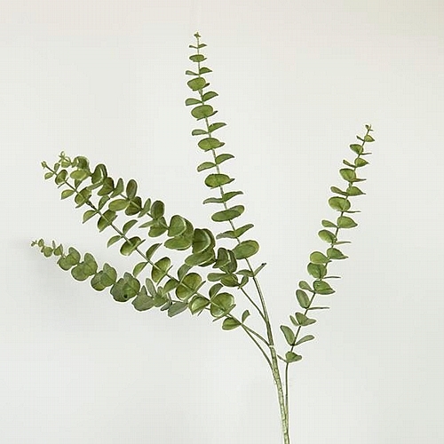 Κλαδί/Φυτό Ευκάλυπτος 84cm