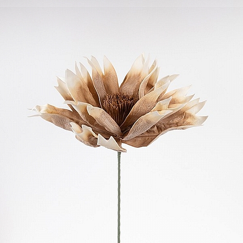 ΛΟΥΛΟΥΔΙ/ΚΛΑΔΙ FOAM ΚΡΕΜ-ΚΑΦΕ 50x78cm