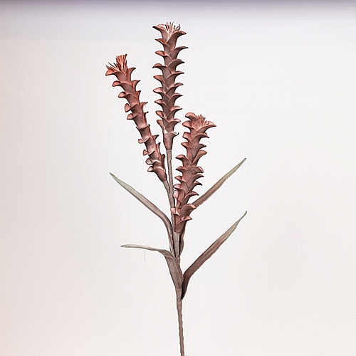 ΛΟΥΛΟΥΔΙ/ΚΛΑΔΙ FOAM ΑΛΟΪΔΕΣ ΜΠΟΡΝΤΩ 30x105cm