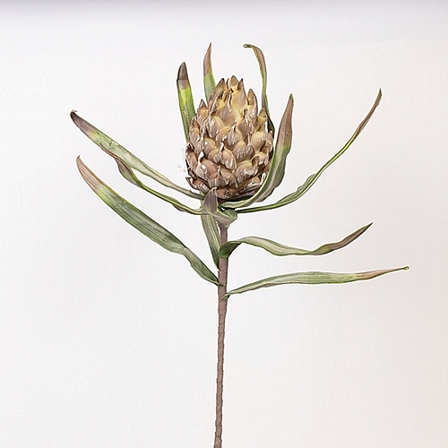 ΛΟΥΛΟΥΔΙ/ΚΛΑΔΙ FOAM ΑΓΚΙΝΑΡΑ ΠΡΑΣΙΝΟ 23x105cm