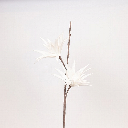 ΛΟΥΛΟΥΔΙ/ΚΛΑΔΙ FOAM ΑΣΤΕΡΙ ΤΗΣ ΒΗΘΛΕΕΜ ΛΕΥΚΟ 30x93cm