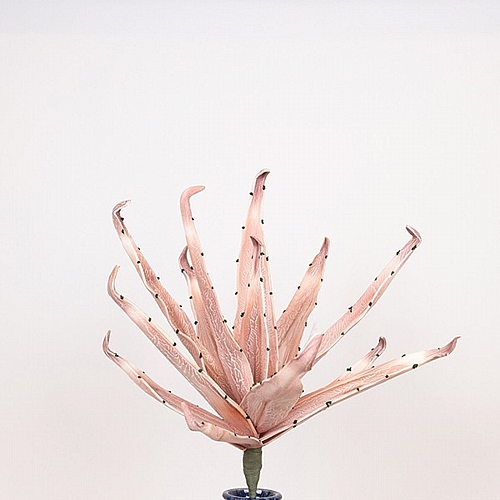 ΛΟΥΛΟΥΔΙ/ΚΛΑΔΙ FOAM ΤΟΥΛΙΠΑ ΡΟΖ 40x90cm