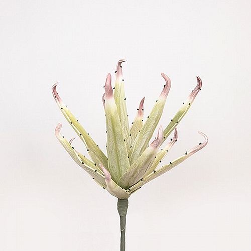 ΛΟΥΛΟΥΔΙ/ΚΛΑΔΙ FOAM ΤΟΥΛΙΠΑ ΠΡΑΣΙΝΟ 40x90cm