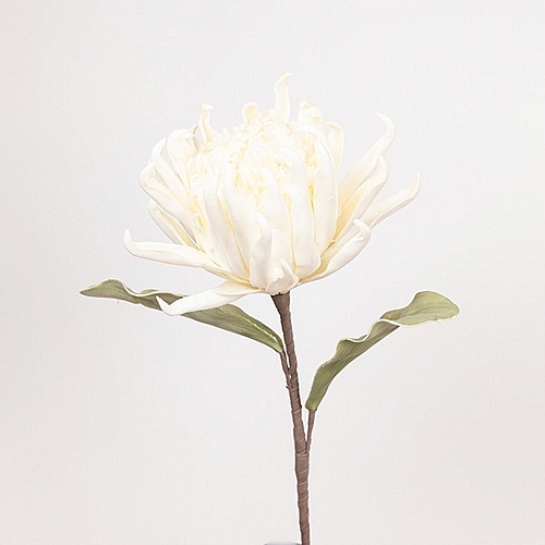 ΛΟΥΛΟΥΔΙ/ΚΛΑΔΙ FOAM ΠΡΩΤΕΑ ΛΕΥΚΟ 15x95cm