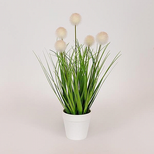 ΦΥΤΟ ΓΡΑΣΙΔΙ ΜΕ ΛΕΥΚΟ ΠΟΜΠΟΝ ΣΕ ΓΛΑΣΤΡΑ ΠΛΑΣΤΙΚΟ 36cm