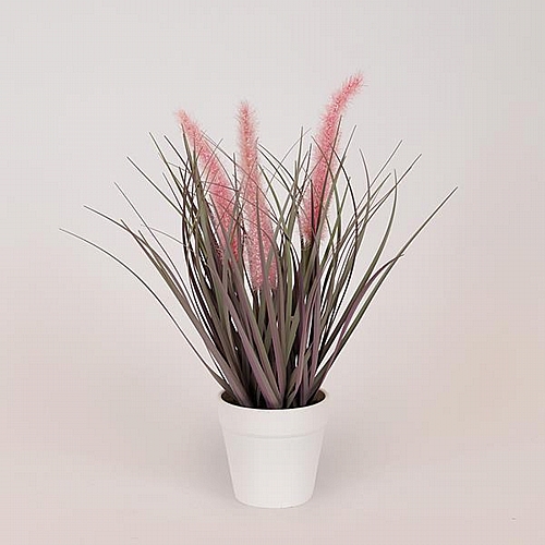 ΦΥΤΟ ΓΡΑΣΙΔΙ ΜΕ ΡΟΖ ΑΝΘΟΣ ΣΕ ΓΛΑΣΤΡΑ ΠΛΑΣΤΙΚΟ 36cm