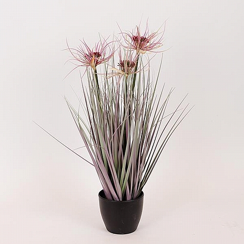 ΦΥΤΟ ΓΡΑΣΙΔΙ ΜΕ ΡΟΖ ΑΝΘΟΣ ΣΕ ΓΛΑΣΤΡΑ ΠΛΑΣΤΙΚΟ 54cm