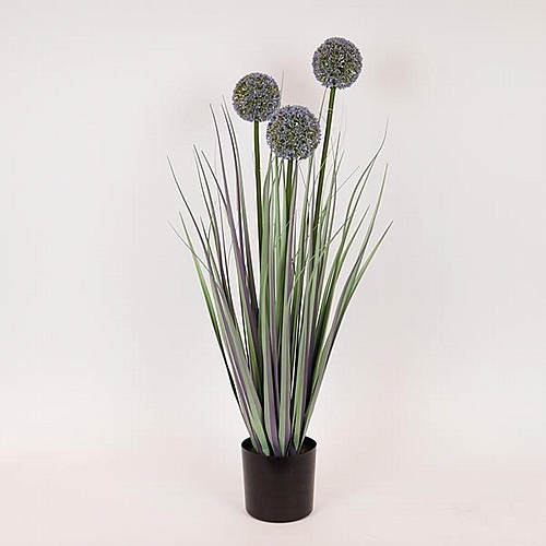 ΦΥΤΟ ΓΡΑΣΙΔΙ ΑΛΛΙΟ ΣΕ ΓΛΑΣΤΡΑ ΠΛΑΣΤΙΚΟ 80cm