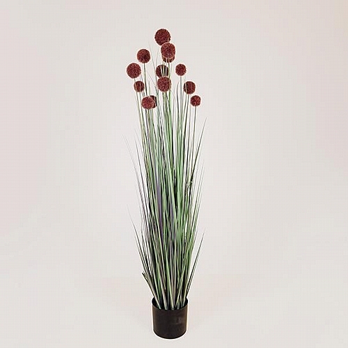 ΦΥΤΟ ΓΡΑΣΙΔΙ ΜΕ ΡΟΖ ΠΟΜΠΟΝ ΣΕ ΓΛΑΣΤΡΑ ΠΛΑΣΤΙΚΟ 122cm