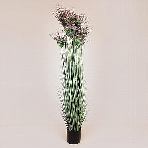 ΦΥΤΟ ΓΡΑΣΙΔΙ ΣΕ ΓΛΑΣΤΡΑ ΠΛΑΣΤΙΚΟ 183cm