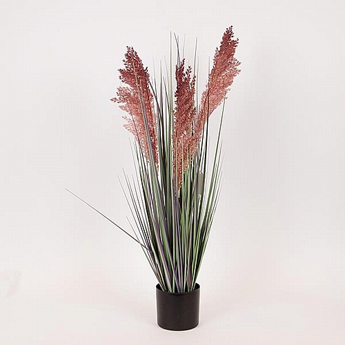 ΦΥΤΟ ΓΡΑΣΙΔΙ ΣΕ ΓΛΑΣΤΡΑ ΠΛΑΣΤΙΚΟ 69cm