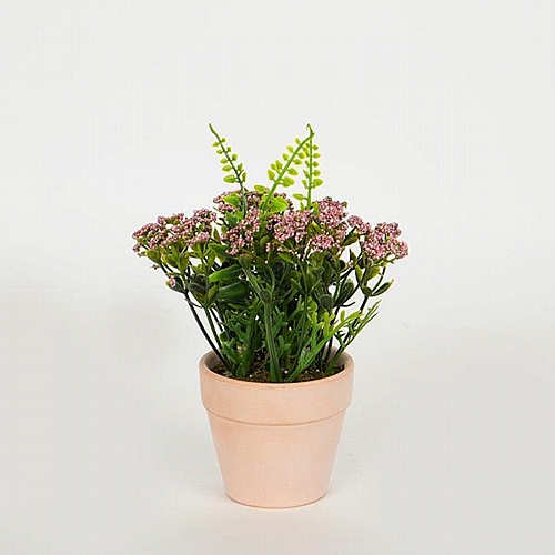 ΛΟΥΛΟΥΔΙ ΣΕ ΓΛΑΣΤΡΑΚΙ ΠΡΑΣΙΝΟ-ΣΟΜΟΝ 16cm